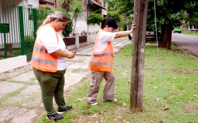 EL MUNICIPIO CONTINÚA CON EL RELEVAMIENTO DE POSTES EN LA VÍA PÚBLICA