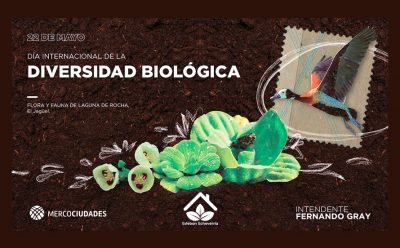 DÍA INTERNACIONAL DE LA DIVERSIDAD BIOLÓGICA