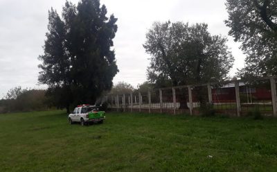 NUEVOS OPERATIVOS DE DESINFECCIÓN Y FUMIGACIÓN