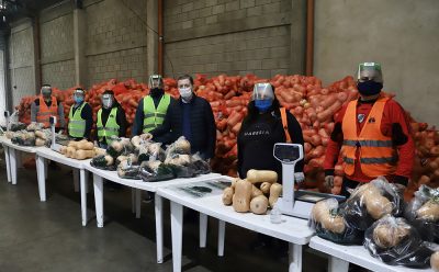 FERNANDO GRAY EN EL ARMADO DE MÓDULOS DE VERDURAS