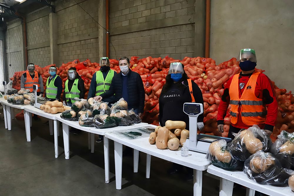 FERNANDO GRAY EN EL ARMADO DE MÓDULOS DE VERDURAS