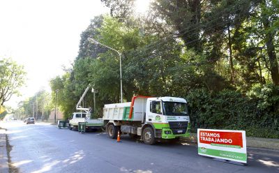 CONTINÚA EL DESPEJE DE LUMINARIAS EN MONTE GRANDE SUR