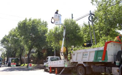 CONTINÚAN LOS OPERATIVOS DE DESPEJE DE LUMINARIAS