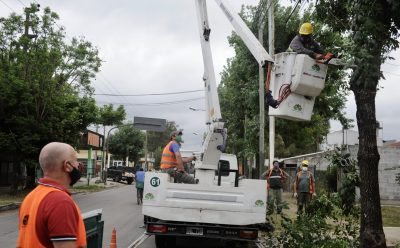 CONTINÚAN LOS TRABAJOS DE DESPEJE DE LUMINARIAS EN MONTE GRANDE SUR