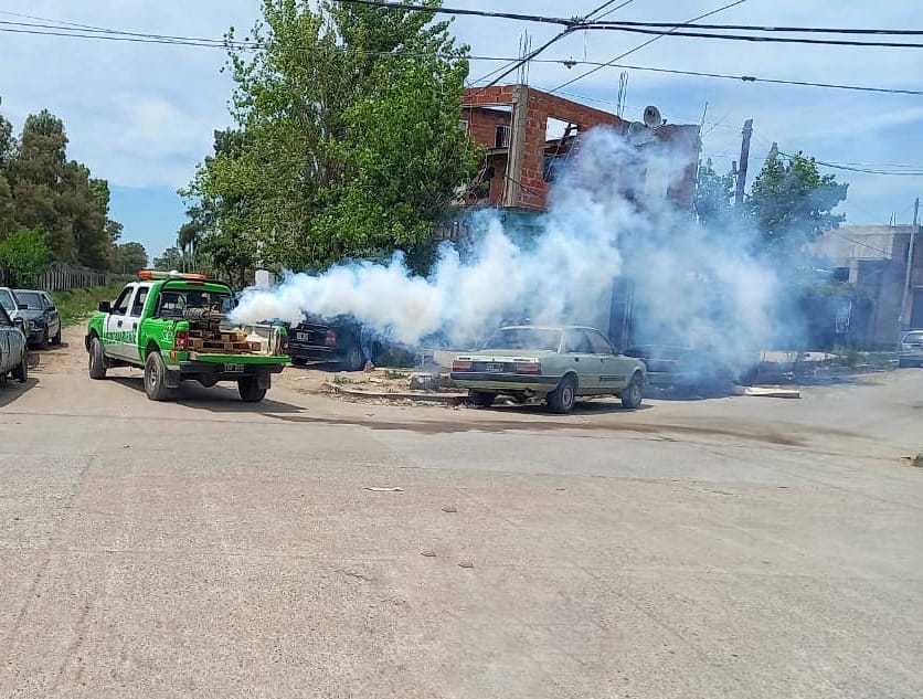 EL MUNICIPIO CONTINÚA CON TAREAS DE FUMIGACIÓN