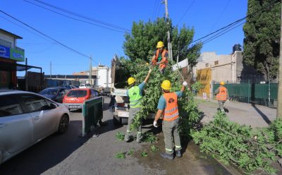 NUEVOS OPERATIVOS DE PODA Y DESPEJE DE LUMINARIAS EN MONTE GRANDE SUR
