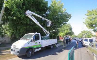 NUEVOS TRABAJOS DE DESPEJE DE LUMINARIAS EN MONTE GRANDE SUR