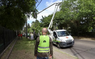 OPERATIVO DE DESPEJE DE LUMINARIAS EN MONTE GRANDE SUR