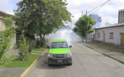 TAREAS DE FUMIGACIÓN EN LUIS GUILLÓN