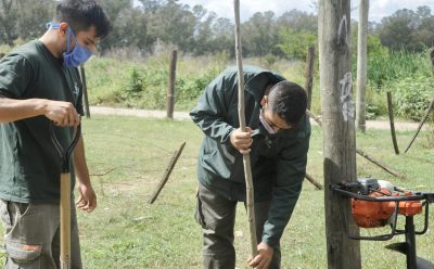 CONTINÚA EL PROGRAMA DE FORESTACIÓN EN ESTEBAN ECHEVERRÍA