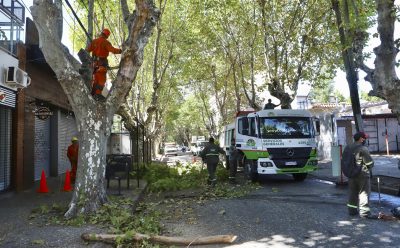 DESPEJE DE LUMINARIAS EN EL CENTRO COMERCIAL DE MONTE GRANDE