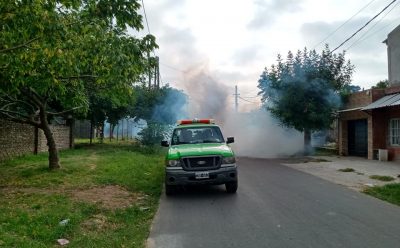 EL MUNICIPIO INTENSIFICA LAS TAREAS DE FUMIGACIÓN EN EL DISTRITO