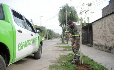 AVANZA EL PROGRAMA DE FORESTACIÓN EN ESTEBAN ECHEVERRÍA