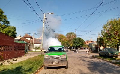 OPERATIVO DE FUMIGACIÓN EN LUIS GUILLÓN