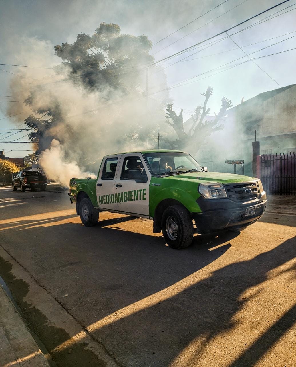 TAREAS DE FUMIGACIÓN EN LUIS GUILLÓN