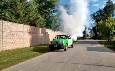 TAREAS DE FUMIGACIÓN EN LUIS GUILLÓN