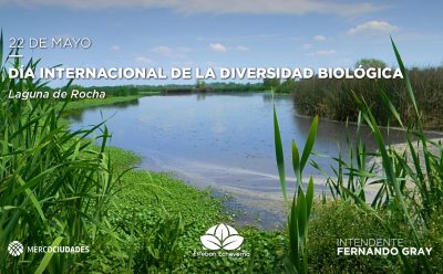 22 de mayo – Día internacional de la diversidad biológica