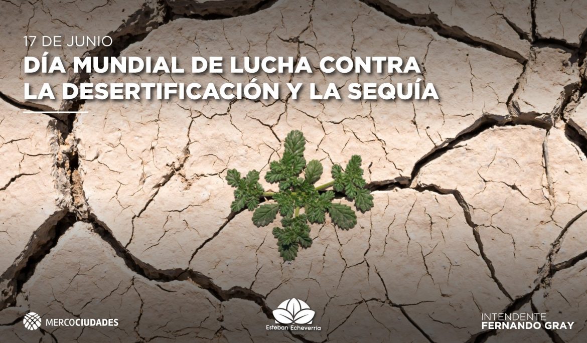 17 de junio – Día Mundial contra la desertificación
