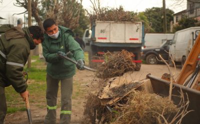 OPERATIVO DE LIMPIEZA Y RECOLECCIÓN DE RAMAS EN MONTE GRANDE SUR