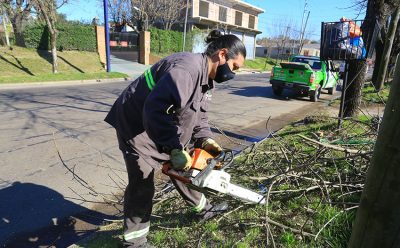 TRABAJOS DE PODA Y DESPEJE DE LUMINARIAS EN MONTE GRANDE