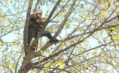 EL MUNICIPIO REALIZÓ TAREAS DE PODA SOBRE LA CALLE DARDO ROCHA