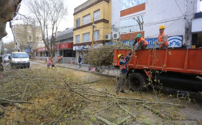 DESPEJE Y COLOCACIÓN DE LUMINARIAS LED EN MONTE GRANDE CENTRO