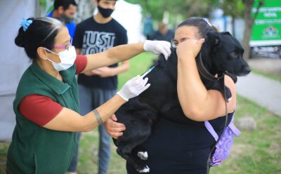 MÁS DE MIL MASCOTAS CONTROLADAS Y VACUNADAS EN ESTEBAN ECHEVERRÍA