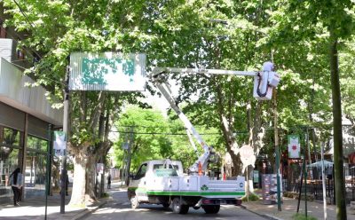 TAREAS DESPEJE Y RECAMBIO DE LUMINARIAS EN MONTE GRANDE
