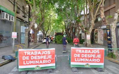 DESPEJE Y RECAMBIO DE LUMINARIAS EN MONTE GRANDE