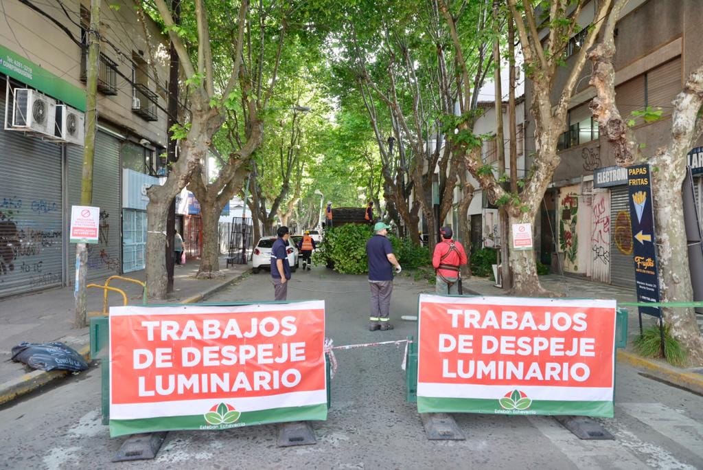 DESPEJE Y RECAMBIO DE LUMINARIAS EN MONTE GRANDE