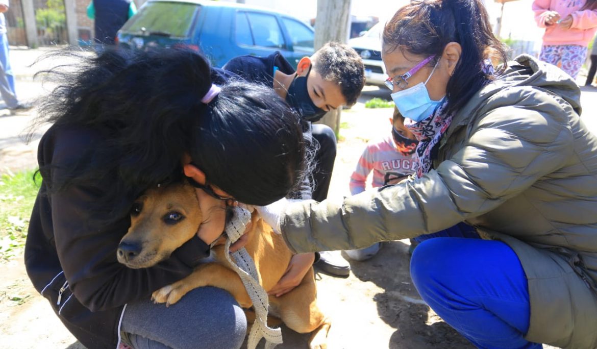 MÁS DE 450 MASCOTAS CONTROLADAS Y VACUNADAS EN LOS OPERATIVOS DE 9 DE ABRIL