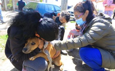 MÁS DE 450 MASCOTAS CONTROLADAS Y VACUNADAS EN LOS OPERATIVOS DE 9 DE ABRIL