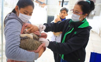 CONTROL DE SALUD PARA MASCOTAS EN EL JAGÜEL