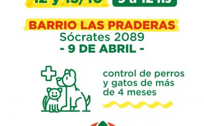 NUEVO OPERATIVO DE CONTROL Y VACUNACIÓN PARA MASCOTAS