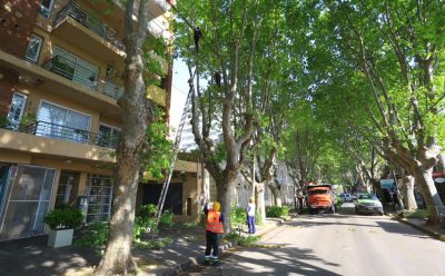 DESPEJE Y RECAMBIO DE LUMINARIAS EN MONTE GRANDE
