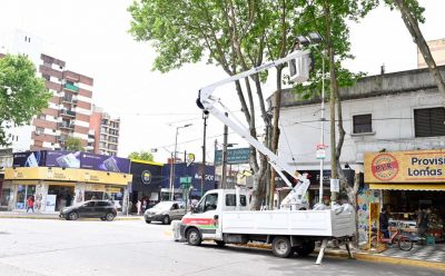 RECAMBIO DE LUMINARIAS EN EL CENTRO DE MONTE GRANDE
