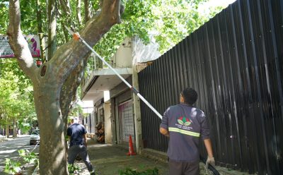 OPERATIVOS DE DESPEJE DE LUMINARIAS EN MONTE GRANDE