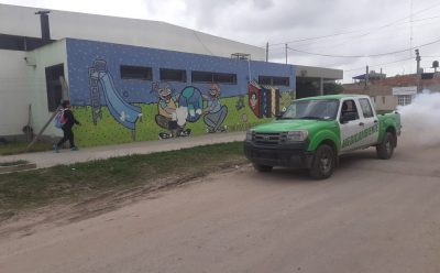 EL MUNICIPIO REFUERZA LOS OPERATIVOS DE FUMIGACIÓN