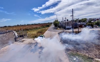 EL MUNICIPIO REFUERZA LOS OPERATIVOS DE FUMIGACIÓN