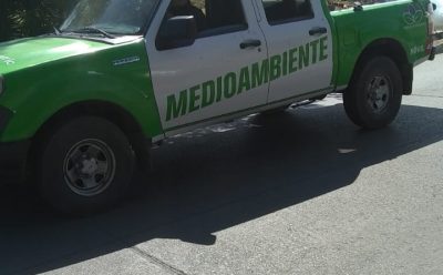 TRABAJOS DE FUMIGACIÓN EN EL JAGÜEL