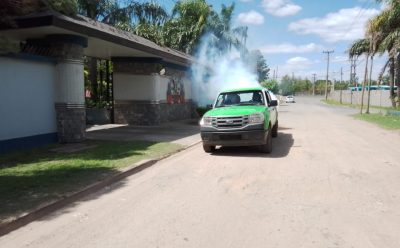TRABAJOS DE FUMIGACIÓN EN BARRIOS DE MONTE GRANDE Y LUIS GUILLÓN