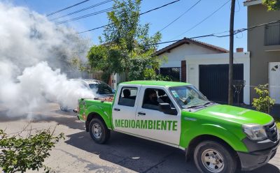 EL MUNICIPIO REFUERZA LOS OPERATIVOS DE FUMIGACIÓN
