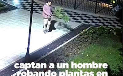 DETIENEN A UN HOMBRE POR VANDALISMO EN EL ESPACIO PÚBLICO