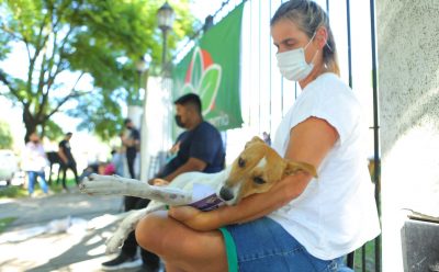 CONTROL Y VACUNACIÓN ANTIRRÁBICA PARA MASCOTAS
