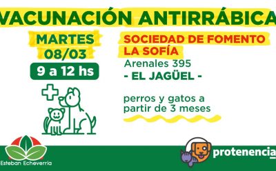 VACUNACIÓN ANTIRRÁBICA PARA PERROS Y GATOS EN EL JAGÜEL