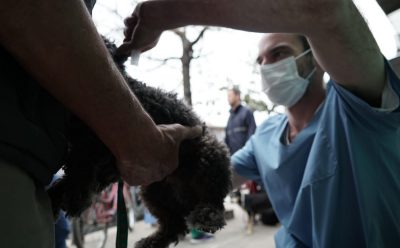 VACUNACIÓN ANTIRRÁBICA Y CONTROL VETERINARIO