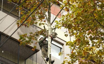 AVANZAN LAS TAREAS DE PODA EN MONTE GRANDE CENTRO