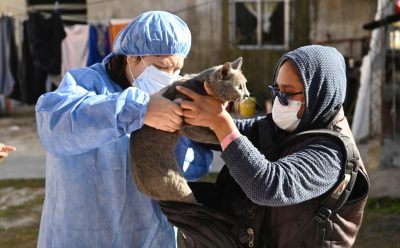 JORNADAS DE CONTROL VETERINARIO EN 9 DE ABRIL