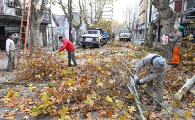 CONTINÚAN LAS TAREAS DE PODA EN MONTE GRANDE CENTRO