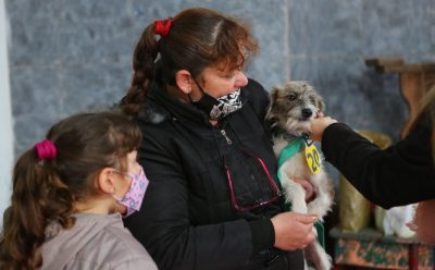 JORNADAS DE CONTROL VETERINARIO EN EL JAGÜEL